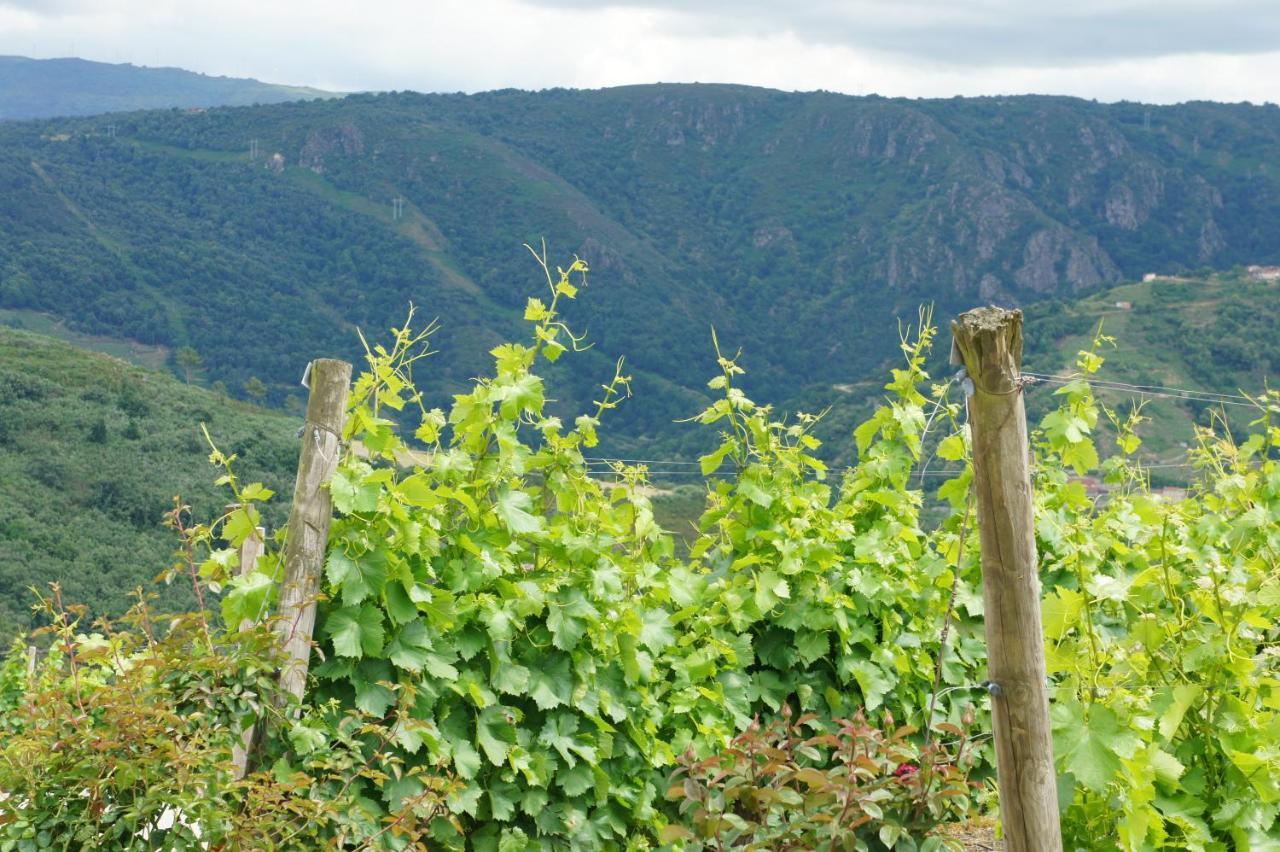 O Muino Casa Ferrador Ribeira Sacra Apartment Barantes Bagian luar foto